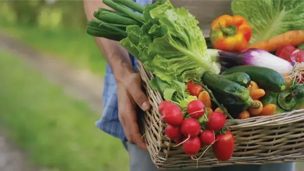 Người cầm giỏ đựng đầy rau củ.